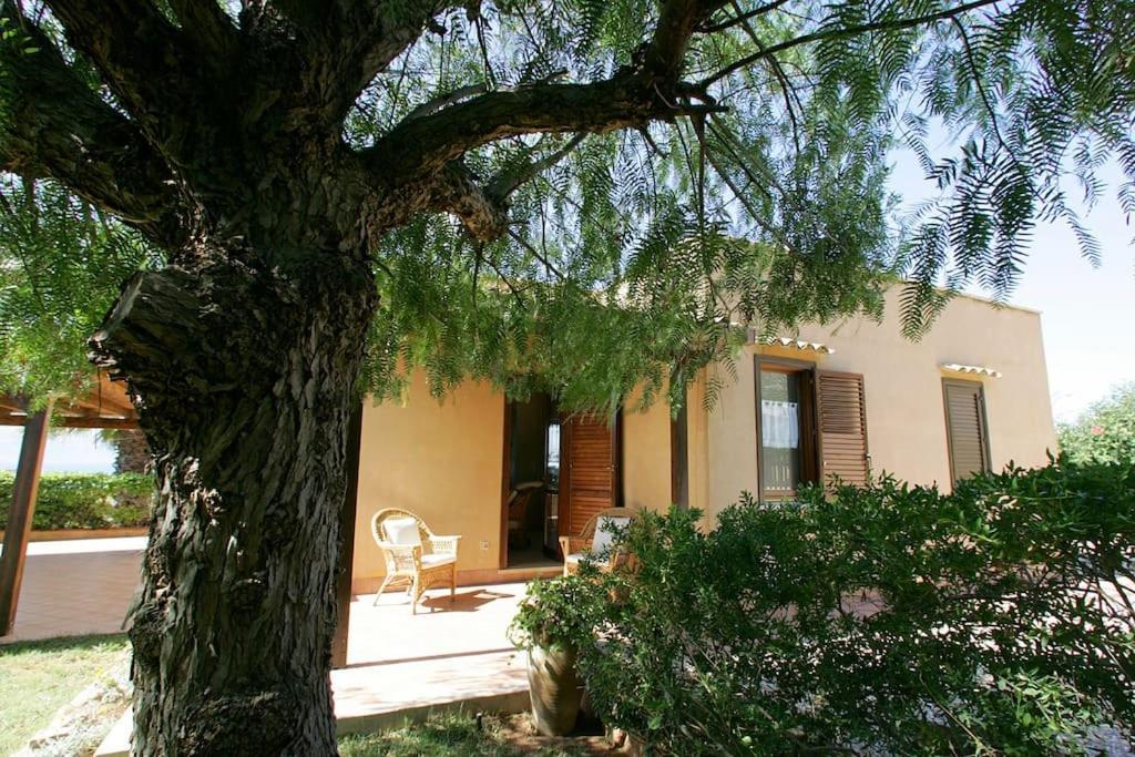 Villa Levante Vista Mare Cornino Custonaci Extérieur photo
